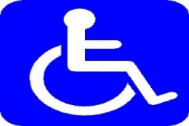 Dünya Engelliler Yüzme Şampiyonası Hollanda'da Yapılıyor 